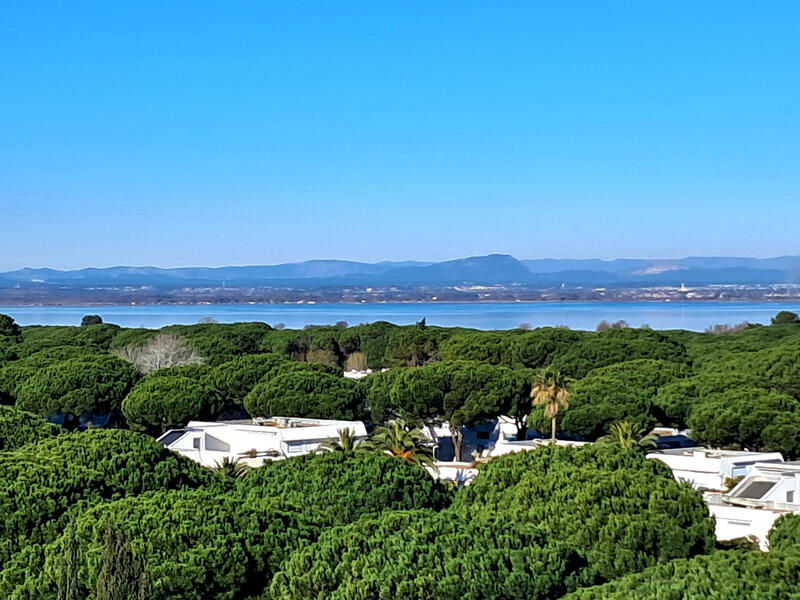 Appartement - 103 m² - 4 pièces