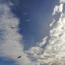 Au nom du ciel - Yuval Rozman - Théâtre du Rond-Point, Paris