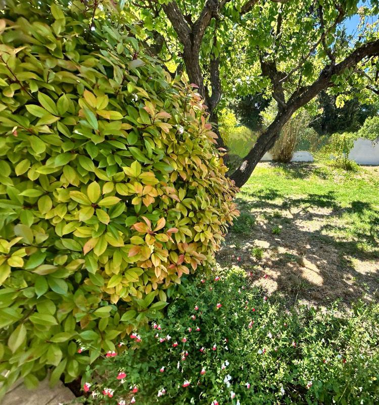 Maison - 114 m² - 6 pièces