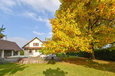 Maison - 194 m² - 8 pièces