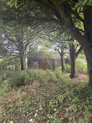 Maison ancienne - 246 m² - 9 pièces