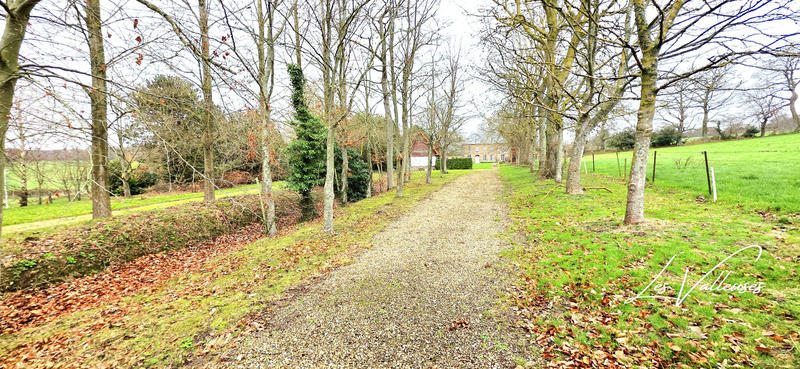 Manoir - 270 m² - 10 pièces