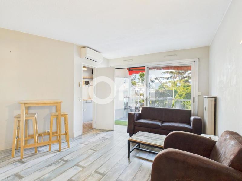 Studio - 28 m² - 1 pièce