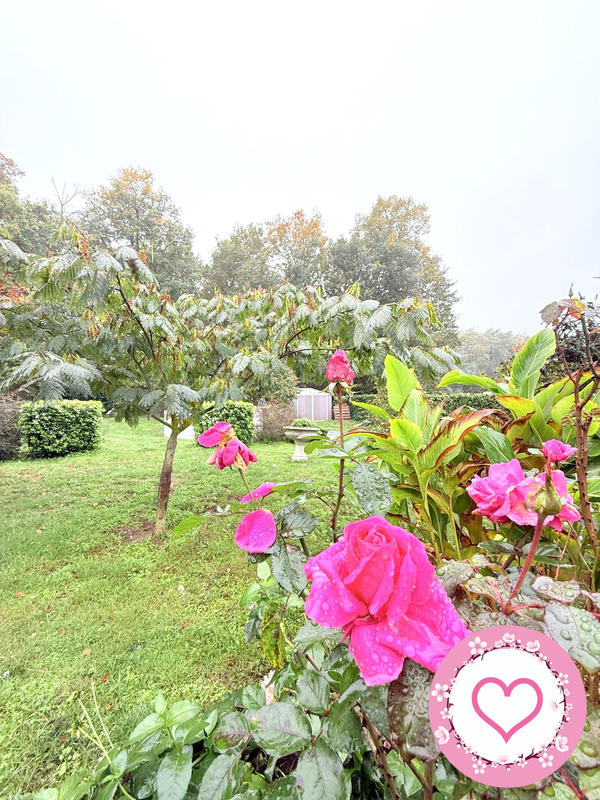 Maison - 118 m² - 6 pièces