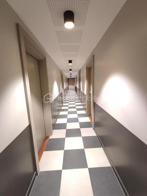 Studio - 31 m² - 1 pièce