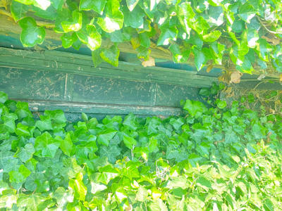 Propriété - 15 000 m² - 2 pièces