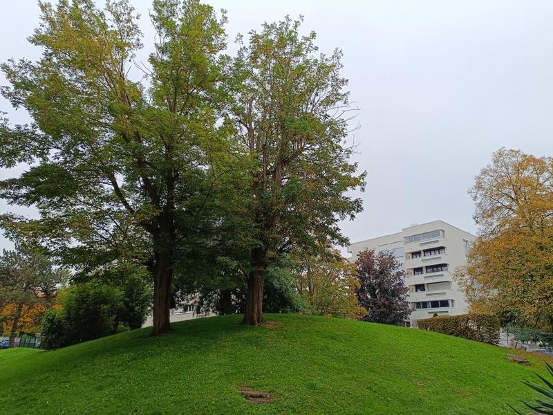 Appartement - 53 m² - 2 pièces