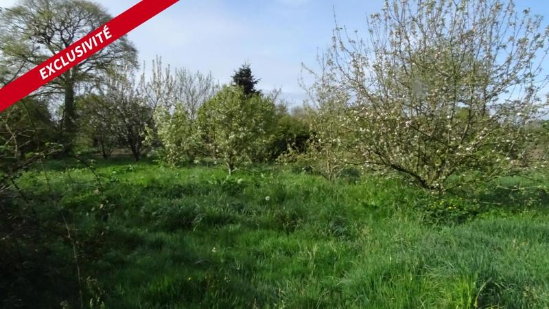 Maison - 120 m² - 3 pièces