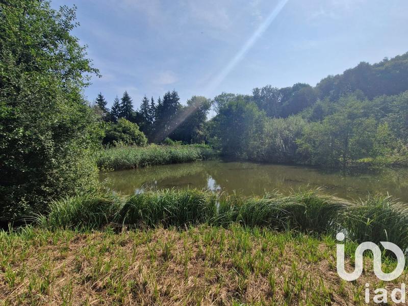 Terrain - 10 000 m²