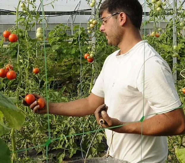 Les Bio Legumes du Berry