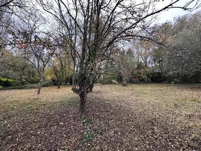 Terrain constructible - 1 000 m²