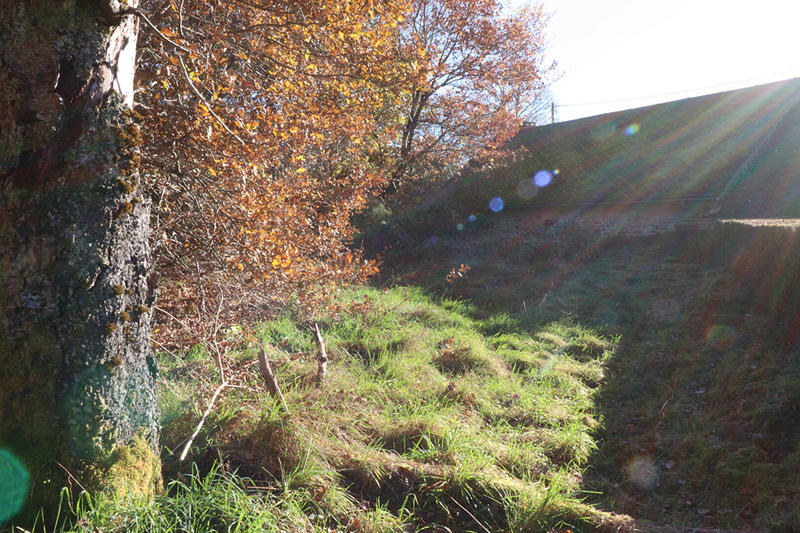 Maison - 45 m² - 1 pièce