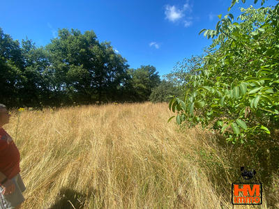 Maison - 94 m² - 6 pièces