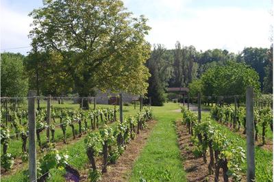 Vignoble Domaine de Chantelle