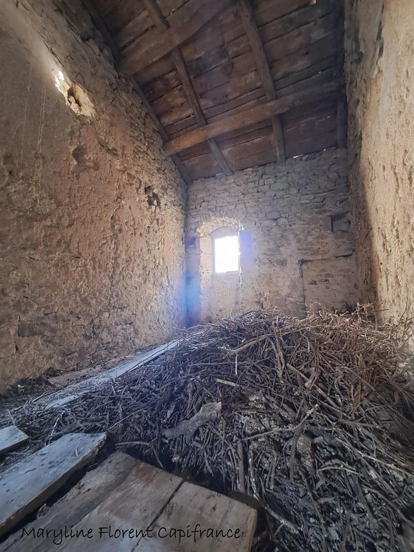 Maison en pierre - 175 m² - 10 pièces