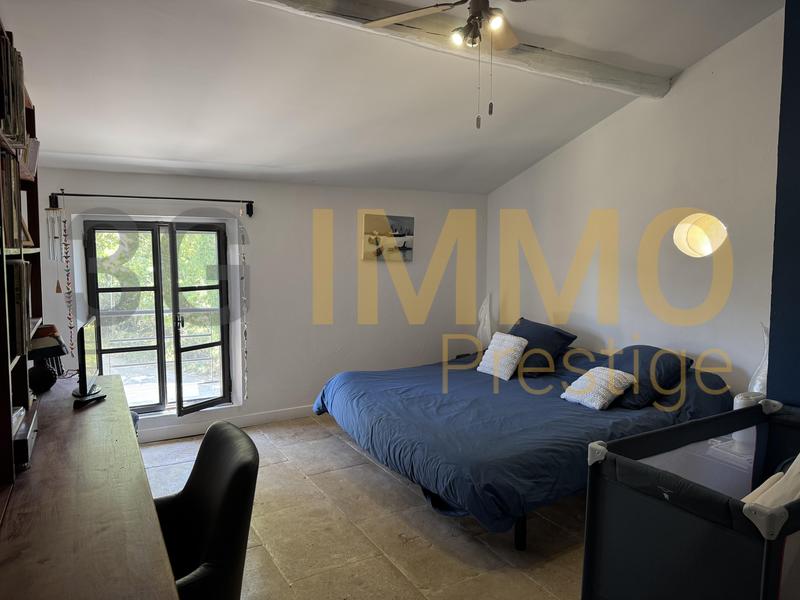 Moulin - 182 m² - 9 pièces