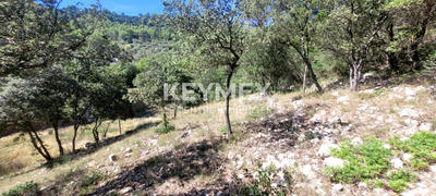 Terrain - 8 475 m²