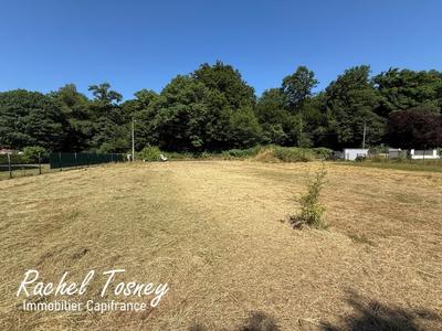 Terrain constructible - 1 039 m²