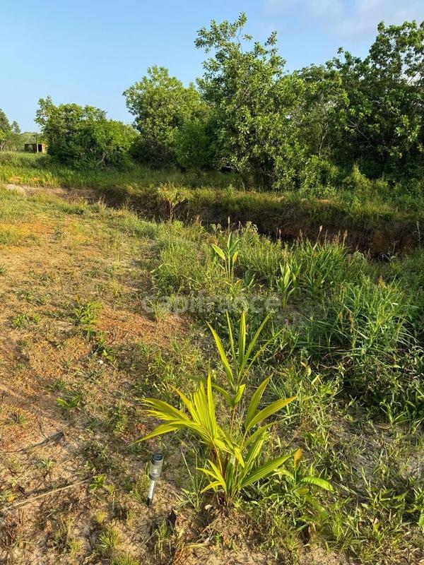 Maison de bois - 79 m² - 3 pièces