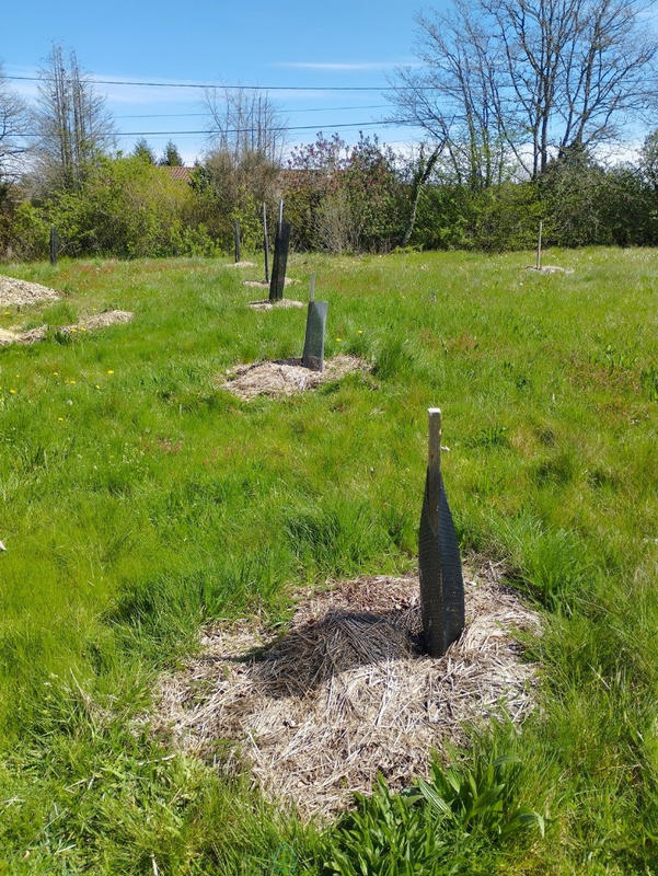 Maison - 84 m² - 3 pièces