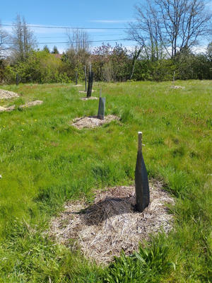 Maison - 84 m² - 3 pièces