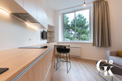 Appartement - 19 m² - 1 pièce