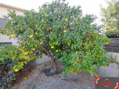 Maison - 99 m² - 4 pièces