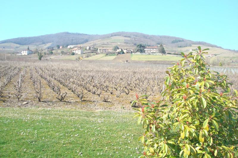 Maison - 264 m² - 7 pièces