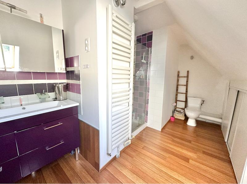 Maison de domaine - 250 m² - 7 pièces