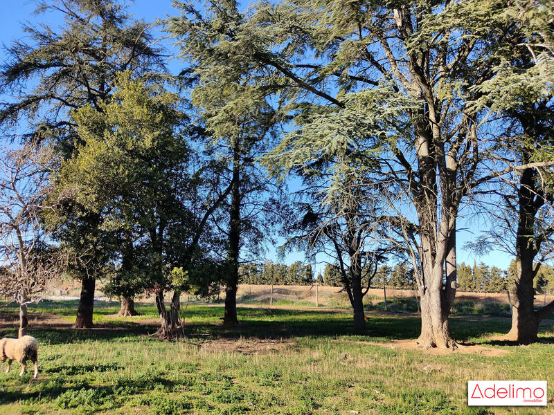 Mas - 1 582 m² - 15 pièces