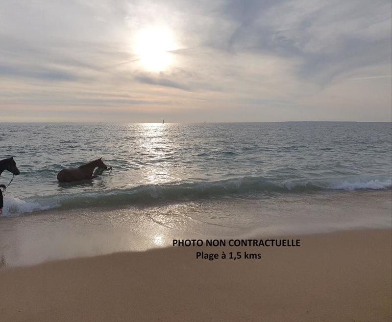 Villa - 185 m² - 9 pièces