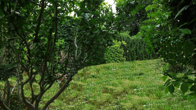 Maison - 157 m² - 11 pièces