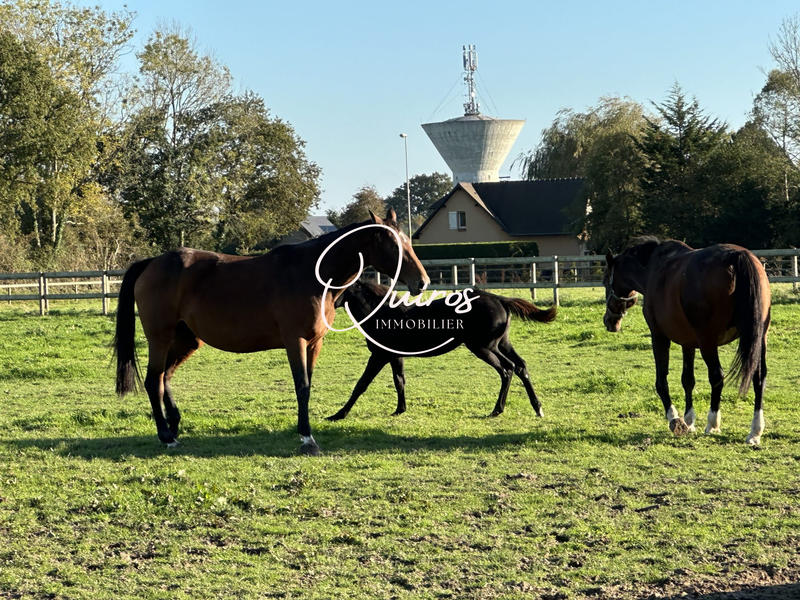 Maison - 290 m² - 8 pièces