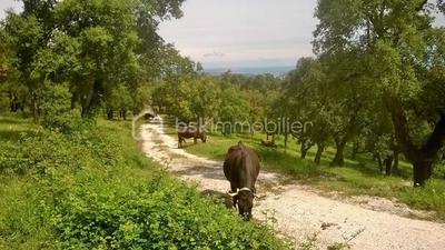 Terrain agricole - 56 090 m²