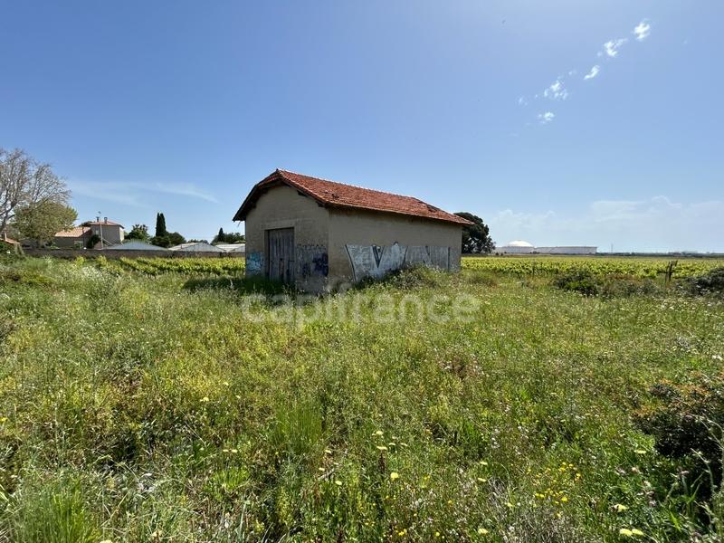Terrain agricole - 500 m²