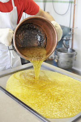 Les Délices du Roy Albert