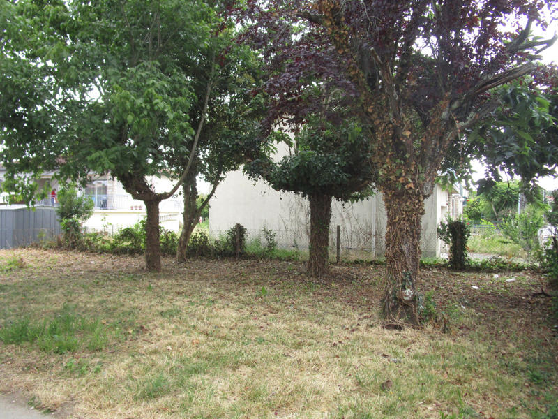 Maison - 126 m² - 5 pièces