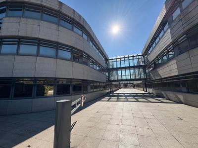 Bureau - 335 m²