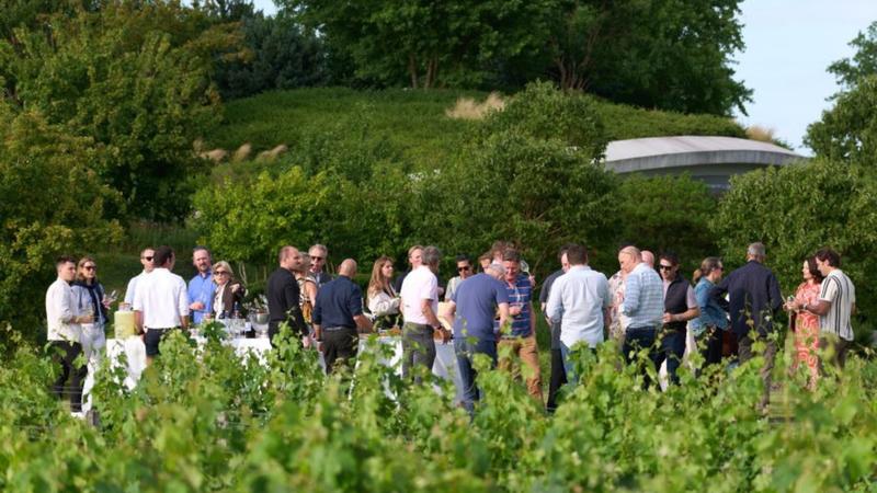 Barbecue estival dans les jardins face aux vieilles vignes