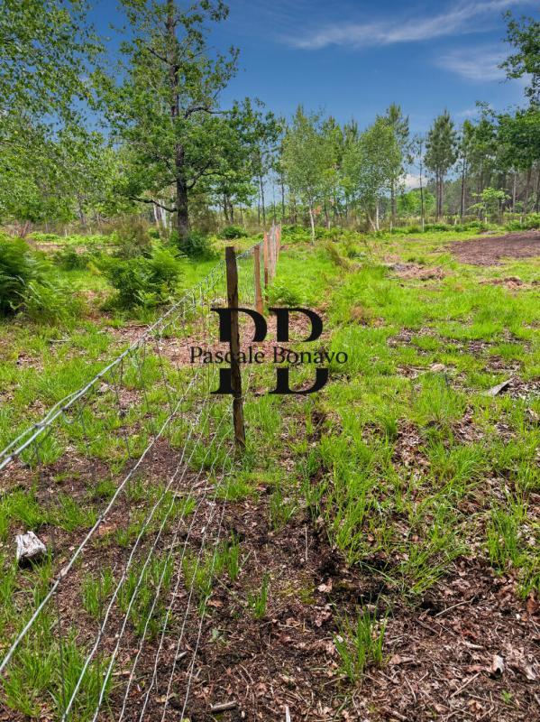 Terrain de loisirs - 2 327 m²