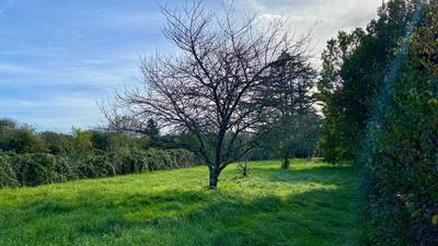 Maison - 94 m² - 5 pièces