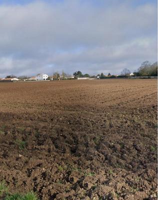 Terrain constructible - 300 m²