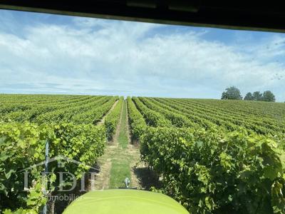 Terrain - 400 000 m²