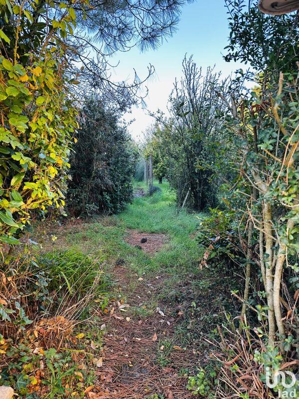 Maison - 148 m² - 5 pièces