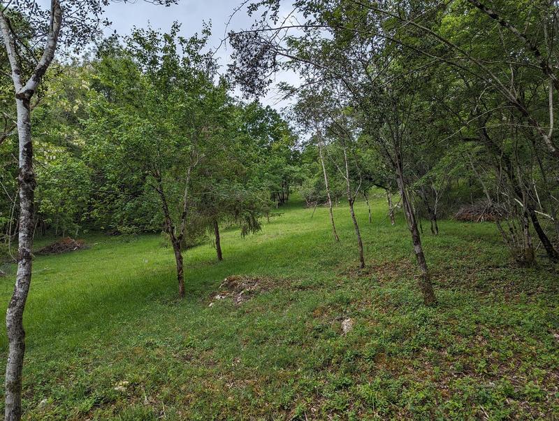 Ferme - 259 m² - 9 pièces