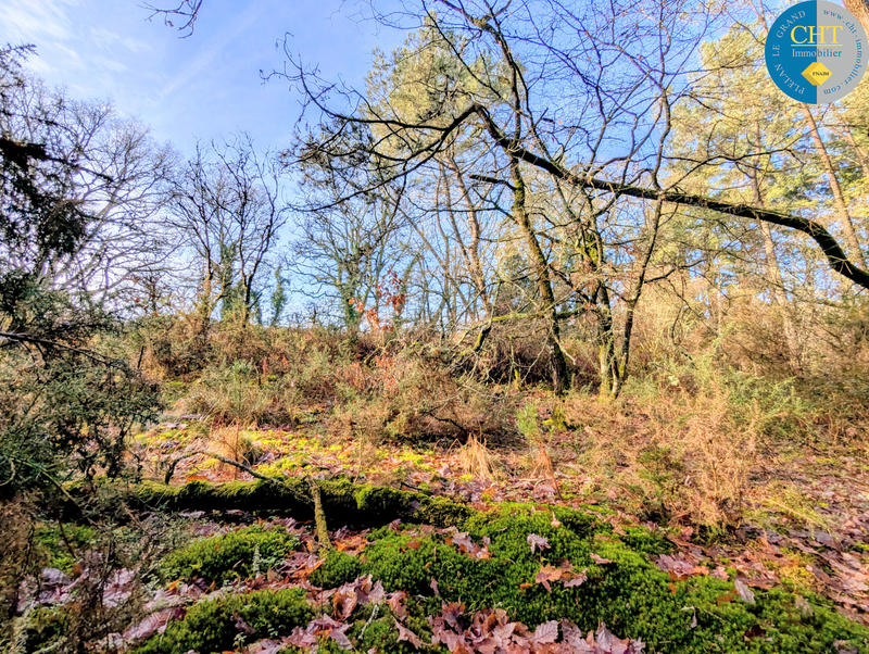 Terrain - 20 680 m²