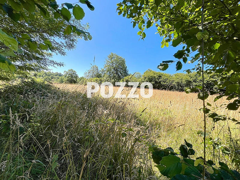 Terrain - 14 983 m²