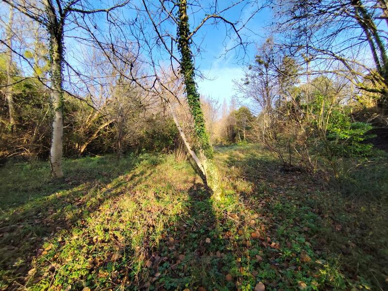 Maison en pierre - 60 m²