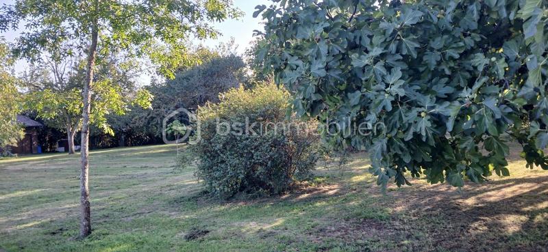 Maison ancienne - 89 m² - 3 pièces