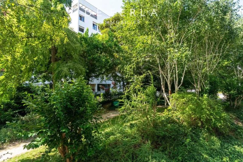 Studio - 30 m² - 1 pièce